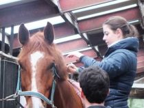 1DSCF2174