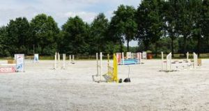 DSC06507kopie